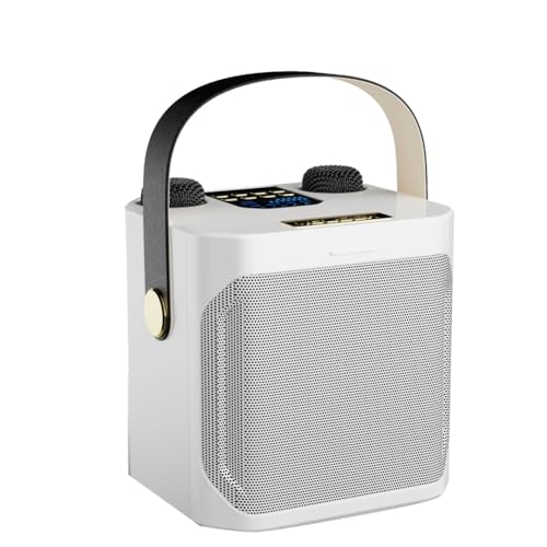 Malloy Leistungsstarker Karaoke-Bluetooth-Lautsprecher, Tragbarer 360-Grad-Stereo-Surround-Subwoofer mit Wasserdichtem Kabel und Doppelmikrofon-B von Malloy