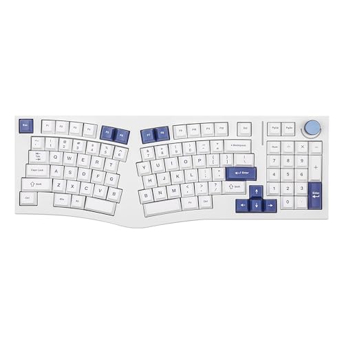 Feker Alice98 Ergonomische 98 Tasten Gaming-Tastatur, QMK/VIA USB-C kabelgebundene Tastatur, Hot Swappable Gasket Mechanical Keyboard mit 5 Layer Paddings, Knopf, NKRO, RGB für Win/Mac (Weiß) von MechLands