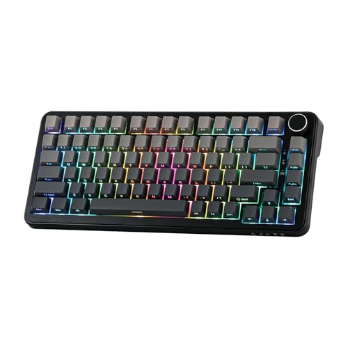 MechLands AJAZZ AK820 MAX HE Rapid Trigger Keyboard, kabelgebundene/drahtlose Gaming-Tastatur, mechanische Hall-Effekt-Tastatur, einstellbare Betätigung, magnetische Schalter (Grau, Verkabelt) von MechLands