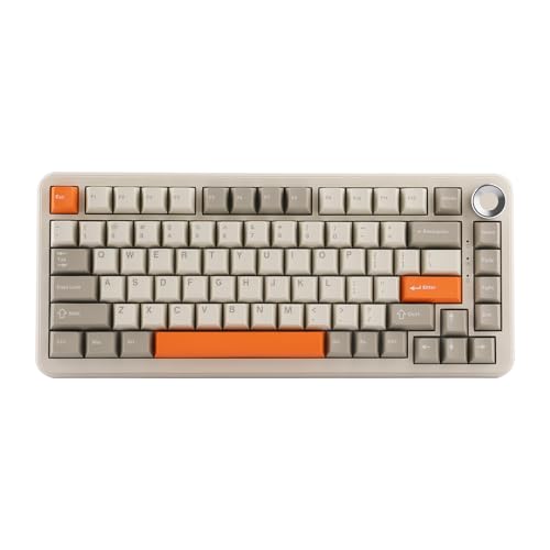 MechLands AJAZZ AK820 MAX Upgraded Dichtung Mechanische Tastatur, BT5.0/USB-C/2.4GHz Kabellose Gaming-Tastatur, 75% Tastatur mit 8000mAh Akku, Flex-Cut PCB, PC Platte, RGB für Win/Mac (Retro Weiß) von MechLands