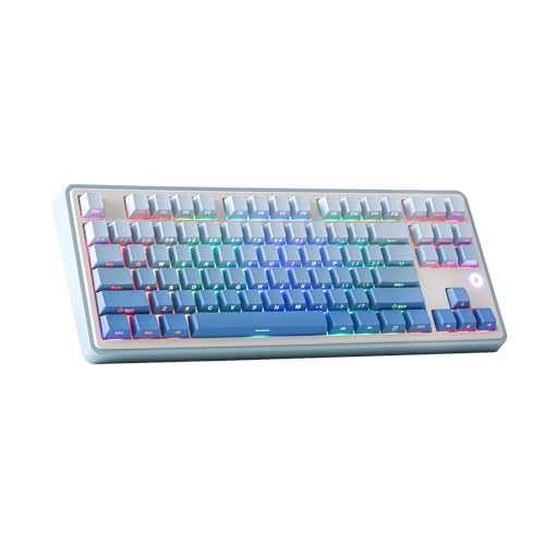 MechLands Ajazz AK870 Gasket-Mounted Wireless Gaming Keyboard, 87 Tasten TKL BT5.0/2.4GHz/USB-C Mechanische Tastatur, mit 5-Layer Padding, Flex-Cut PCB für Win/Mac (Blau, Fliegender Fisch Schalter) von MechLands