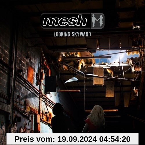 Looking Skyward von Mesh