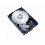 MICROSTORAGE 1TB 7200RPM 1000 GB SAS – Festplatte (SAS, Server/Arbeitsstation) von MicroStorage