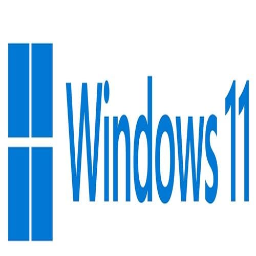 Microsoft Win 11 Pro GGK 64Bit French 1pk DSP Ort von Microsoft