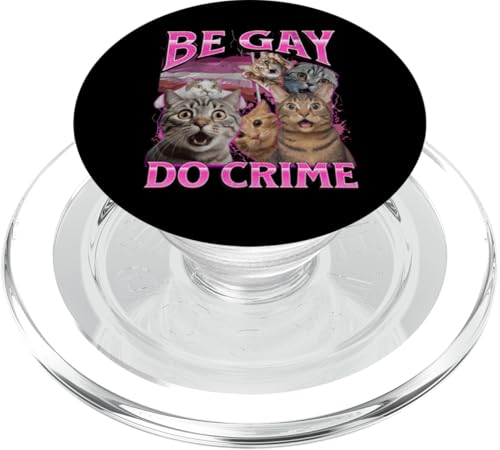 Sei schwul Lustige Lesbische Katze Gay Pride LGBTQ Wortspiel Bootleg PopSockets PopGrip für MagSafe von MildlyPerturbed