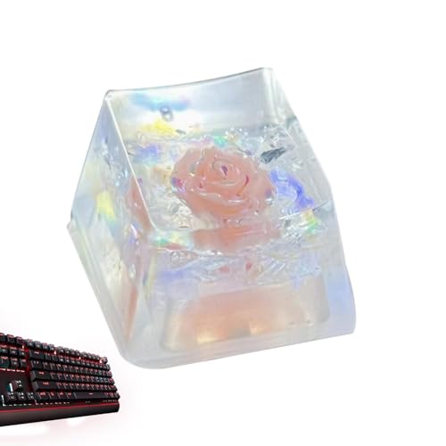 Missmisq Tastatur-Tastenkappen aus Harz,Tastenkappen aus Harz | Resin Trockenblumen Schlüsselkappe - -Ersatz, glänzt durch die durchscheinende R4-Tastenkappe, verbessertes Tipperlebnis für von Missmisq