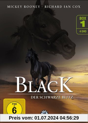 Black, der schwarze Blitz - Box 1 [4 DVDs] von Mitchell Gabourie