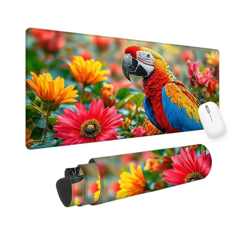 Mausepad Farbe, Mausepad XXL 600x300x3mm Gaming Mauspad Vogel, Mouse Pad mit Vernähte Kanten, Rutschfester Mousepad mit Einer speziellen Oberfläche verbessert Geschwindigkeit und Präzision yv-173 von Mixmblon