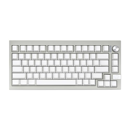 Minimalistische Blanko-Tastenkappen, 137 Tasten, Cherryheight PBT-Tastenkappen, DyeSUB für MXSwitches Mechinery-Tastatur, Ersatz-Tastenkappe, leise Tastatur von Mllepjdh