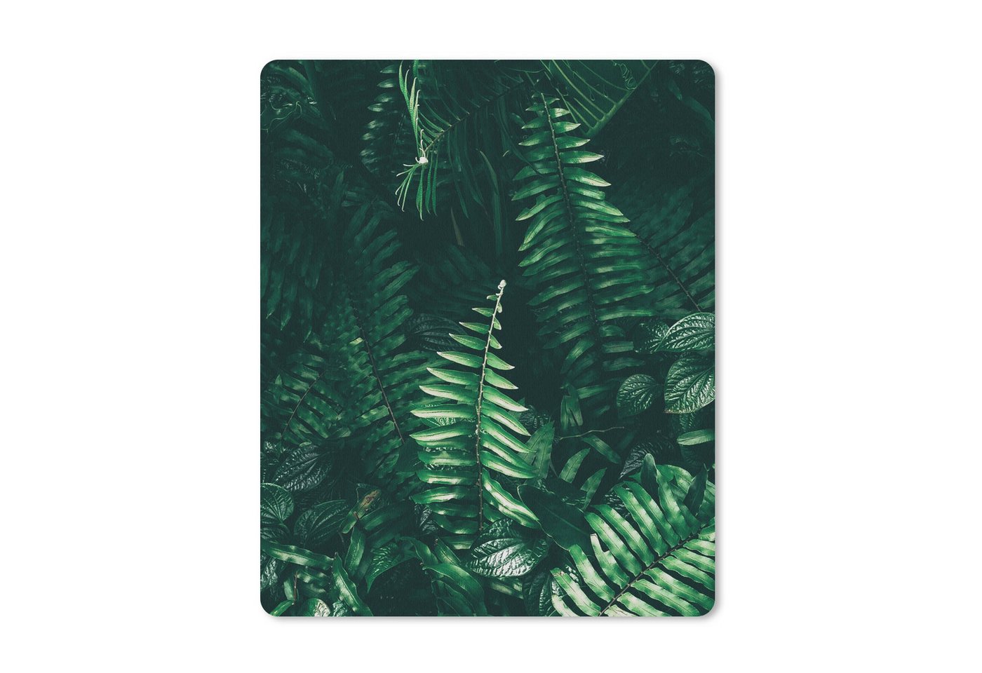 MuchoWow Mauspad Blätter - Dschungel - Natur - Tropisch - Pflanzen (1-St), Mouse pad, Gaming Deko, PC Zubehör, 27x18 cm von MuchoWow