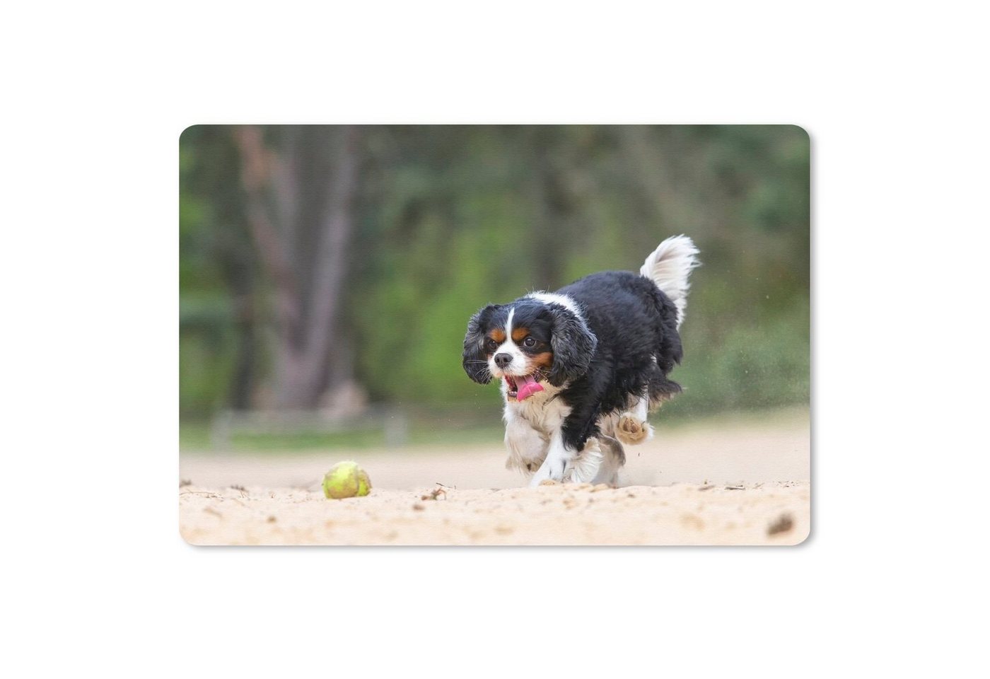 MuchoWow Mauspad Ein Cavalier King Charles Spaniel spielt mit einem Tennisball (1-St), Mouse pad, Gaming Deko, PC Zubehör, 27x18 cm von MuchoWow