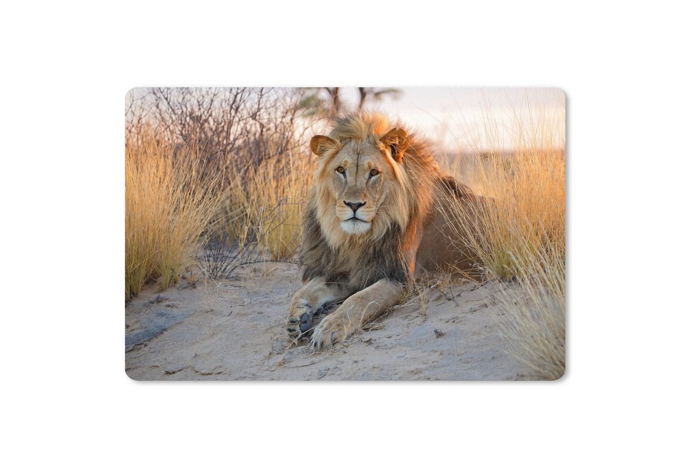 MuchoWow Gaming Mauspad Löwe - Morgen - Afrika (1-St), Büro für Tastatur und Maus, Mousepad Gaming, 90x60 cm, XXL, Großes von MuchoWow