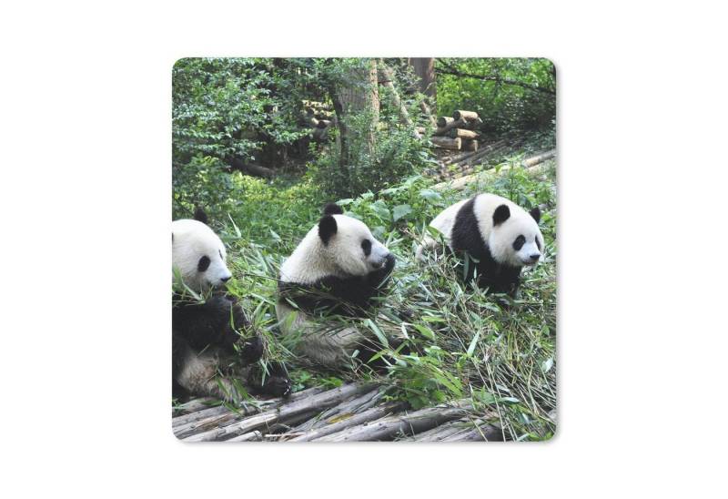 MuchoWow Mauspad Panda - Natur - Bambus (1-St), Mouse pad, Gaming Deko, PC Zubehör, 27x18 cm von MuchoWow