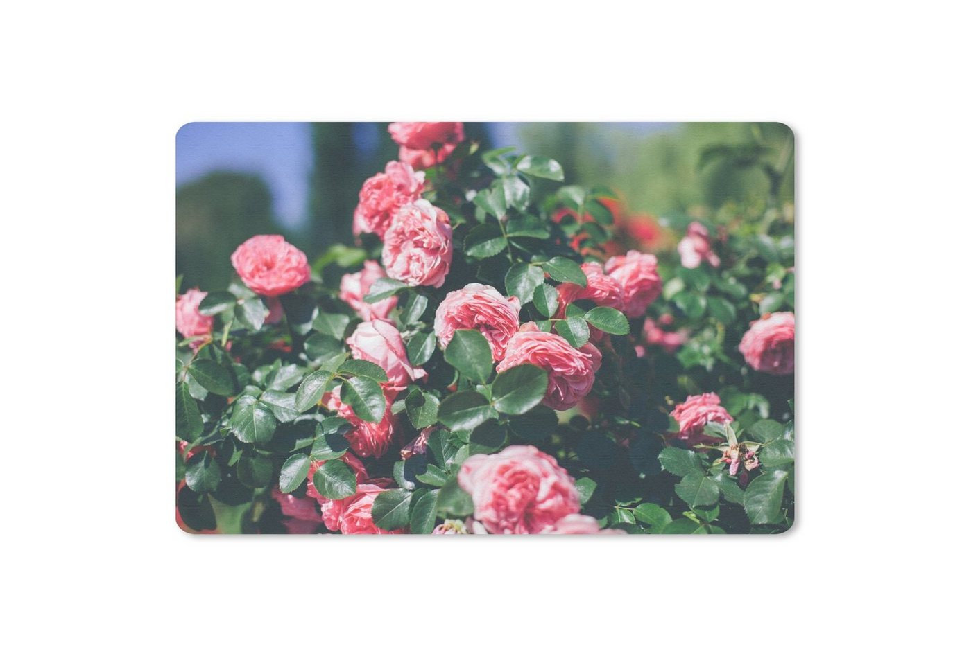 MuchoWow Mauspad Schöne rosa Rose im Sommergarten (1-St), Mouse pad, Gaming Deko, PC Zubehör, 27x18 cm von MuchoWow