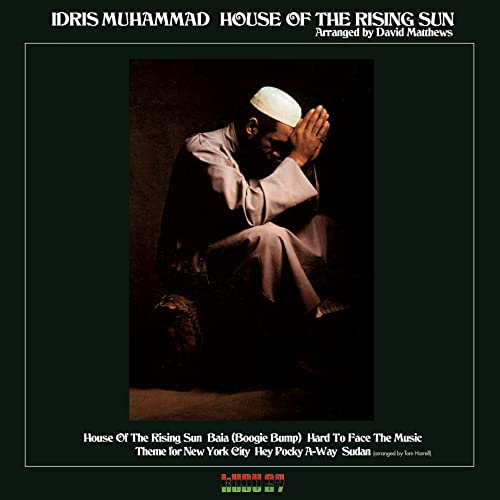 House of the Rising Sun [Vinyl LP] von MUSIC ON VINYL