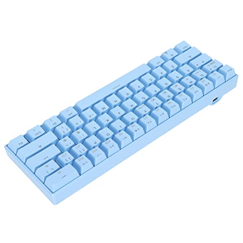 NIZUUONE READSON Mechanische Tastatur, 61 Tasten, RGB, 3 Modi, Unterstützt Kabellos, Kompakt, Ergonomisch, Breite Kompatibilität, Gaming-Tastatur, Blau (Roter Schalter) von NIZUUONE