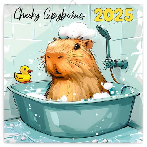 NOTIQUE Wandkalender Cheeky Capybaras 2025 Kalender, Broschürenkalender mit Monatskalendarium, Broschurkalender Tierkalender 30 x 30 cm (30x60 Geöffnet) von NOTIQUE