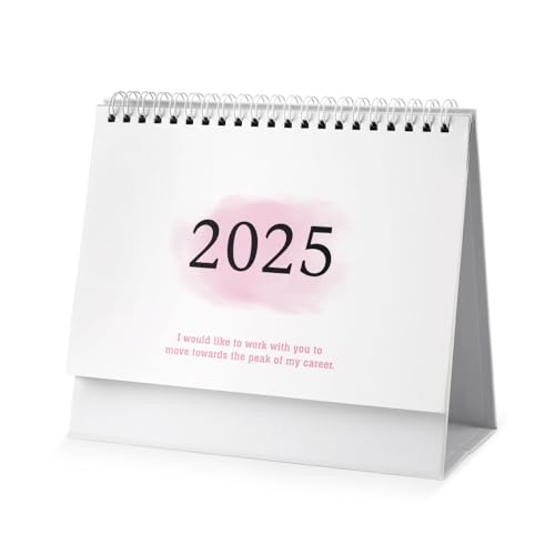 Tischkalender, Tischkalender 2024-2025 19x16cm Akademischer Jahreskalender zum Aufklappen Gültig von Juli 2024 bis Dezember 2025 für Schule Büro und Zuhause (Farbverlauf-Rosa) von NQEUEPN