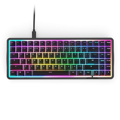 NZXT Magnetische RGB-Gaming-Tastatur Function Elite MiniTKL – anpassbare Betätigung, Doppelschienen-Halleffekt-Schalter, Rapid Trigger, 8K-Abfrage – verbessertes Tippgeräusch und -gefühl – Schwarz von NZXT