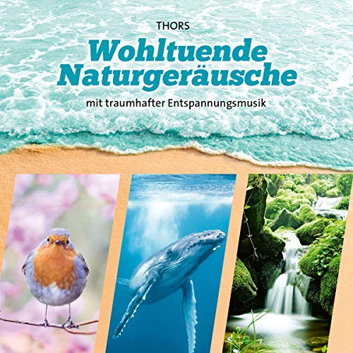 Wohltuende Naturgeräusche (Naturgeräusche mit traumhafter Entspannungsmusik) von Neptun Media GmbH