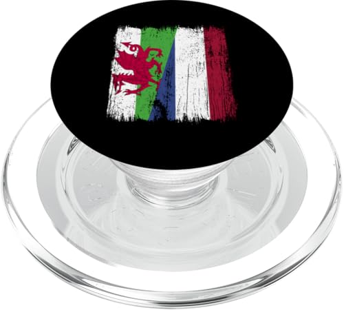 Wales Holland Halbflagge walisisches niederländisches Erbe PopSockets PopGrip für MagSafe von Netherlands Flag Designs Proud Dutch Roots