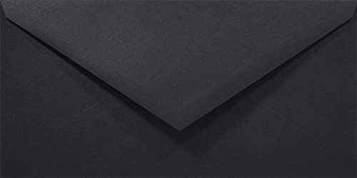 Netuno 100 Umschläge Schwarz DIN lang 110x220 mm 80g Rainbow Briefumschläge lang Briefhüllen Schwarz Einladungsumschläge Papierbriefumschläge schwarze Briefumschläge Hochzeits-Umschläge farbig von Netuno