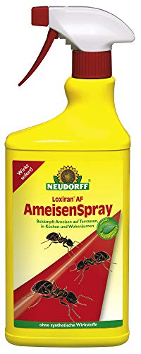 NEUDORFF - Loxiran AF AmeisenSpray - 750 ml von Neudorff