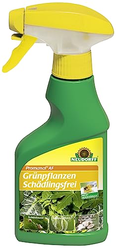 Neudorff Promanal AF GrünpflanzenSchädlingsfrei gegen Schild- und Wollläuse und Spinnmilben an hartlaubigen Grünpflanzen, wie z. B. Ficus, 250 ml von Neudorff