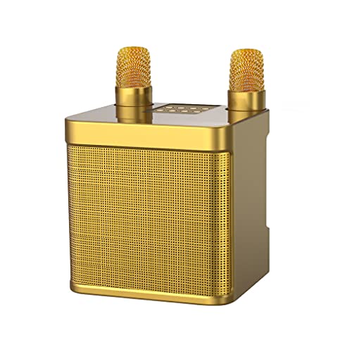 Nilioyul Kabelloses Lautsprechermikrofon Set für Reisen, Bankett, verstellbare, wiederaufladbare Für Soundbox Mikrofon Kit Lautsprecher, Gold von Nilioyul