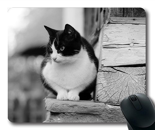 Gaming Mouse Pad - Mousepad für Mac und Windows - Gamer - Katzen Stehen Haustier, tierische Bart Schwarz und Weiß als Frauen/Männer Yanteng Kinder Verkauft Werden von OEM