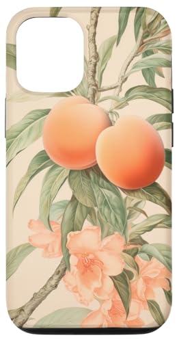 Hülle für iPhone 14 Pfirsich-Grapefruit-Ballon von Ocean Beach Ocean Lover