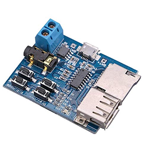 Ohsilv Mp3 Verlustfreie Dekodierung Board Mp3 Decoder Modul TF Karte U Disk Dekodierung Spieler mit Leistungs VerstäRker von Ohsilv