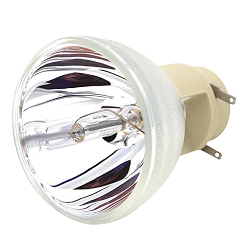 Okeeyseda Kompatibel W1070 W1070 + W1080 W1080ST HT1085ST HT1075 W1300 Projektor Lampe 240/0.8 E20.9N für von Okeeyseda