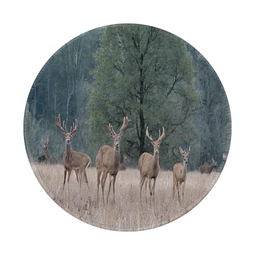 Deers Picture Printed Round Mousepad 8 inch, Gaming Mouse-pad Non-Slip Accessories for Computers,Laptop,Office,Home - 4 PCS von Oudrspo