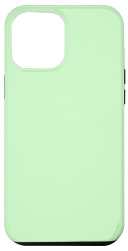 Hülle für iPhone 15 Plus Ästhetisches sanftes Grün von PP Accessories