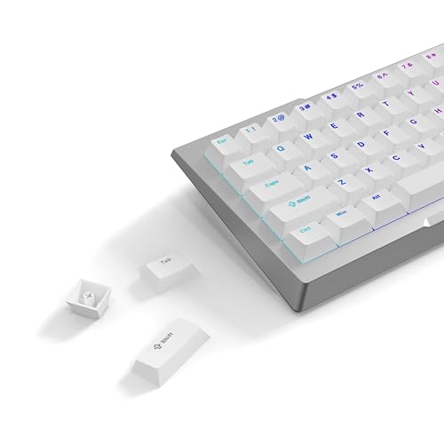 PWNAGE Komplettes PBT-Tastenkappen-Set – Double Shot PBT Shine Through Full Keyboard Keycaps (Weiß) von PWNAGE