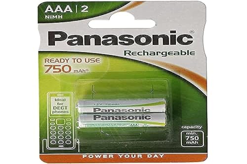 Panasonic 1678 Evolta Akku R2U P03 AAA750mAh von Panasonic