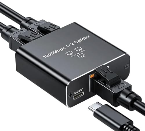 Panlouting 1000Mbit/s RJ45-Ethernet 1 auf 2 Splitter Adapter, 2 Ports zur Gleichzeitigen Nutzung, Hohe Geschwindigkeit Internet LAN Steckdosenverlängerung mit USB Typ-C Stromkabel von Panlouting