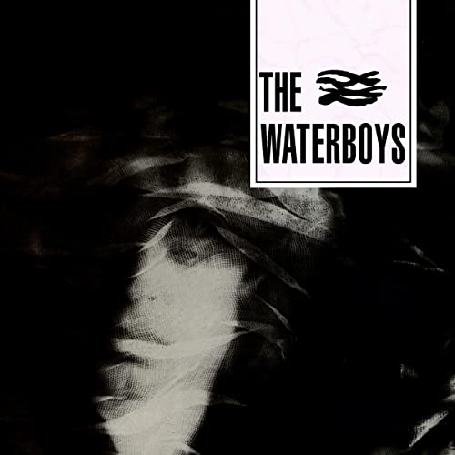 Waterboys [Vinyl LP] von Parlophone UK