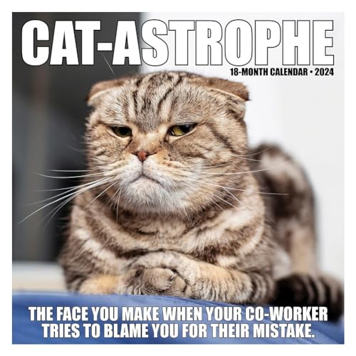 Pawlickio Cat-Astrophe Monatskalender 2024 Wandkalender Cat-Astrophe Monatskalender 2024 von Pawlickio