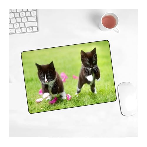 Nette Katze Maus Pad Bild Pad Laptop Slip 220x180x2mm Matte for Cs Gehen/Arbeit Gaming Neue Kawaii Büro Dekoration Teppich Maus Matte(3,18X22 cm) von Pengchang