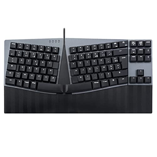 Perixx PERIBOARD-335BL Clavier filaire compact et ergonomique - Tenkeyless - Touches Clicky bleues - Touches Macro programmables - Windows et Mac OS X - Layout AZERTY français von Perixx