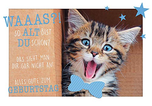 Geburtstagskarte Lifestyle Happy Birthday Katze 11,6 x 16,6 cm von Perleberg