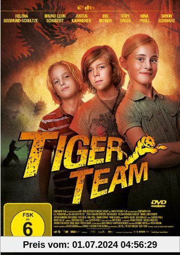 Tiger Team - Der Berg der 1000 Drachen von Peter Gersina