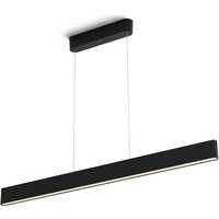 Philips Hue White & Color Ambiance Ensis Pendelleuchte 5500lm - Schwarz Philips Hue White & Color Ambiance Ensis Pendelleuchte 5500lm - Schwarz von Philips Hue