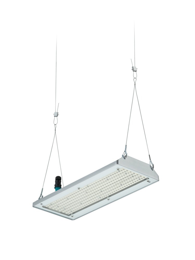 Philips Lighting LED-Hallenleuchte BY580P 170 #59435700 Philips Lighting LED-Hallenleuchte BY580P 170 #59435700 von Philips Lighting