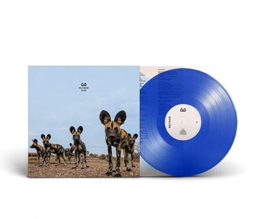 Fever (Ltd. Transparent Blue Col. Lp) [Vinyl LP] von Play It Again Sam (Rough Trade)