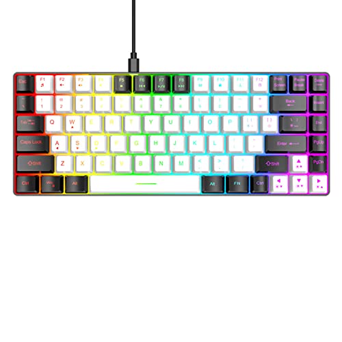 Plyisty Kompakte Gaming-Tastatur mit RGB-Hintergrundbeleuchtung, Ergonomische 84 Tasten, Leise, Kabelgebundene Tastatur mit Mechanischem Gefühl, Typ-C-Schnittstelle, für Win (White) von Plyisty