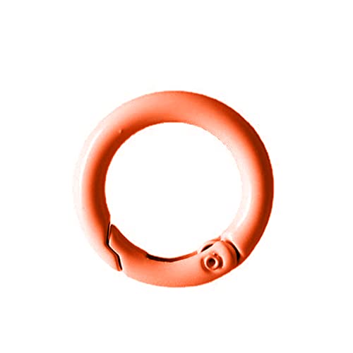 Feder-O-Ringe aus Metall, kleiner Klemmverschluss, Schlüsselanhänger, Zubehör für Schultasche, Geldbörse, Tasche, Dekoration, Feder-O-Ringe, 10 Stück von Pnuokn