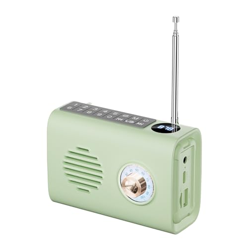 Prakti Tragbarer Mini-UKW-Radio-Bluetooth-Lautsprecher mit Buntem Licht, Unterstützt Freisprechanrufe D von Prakti